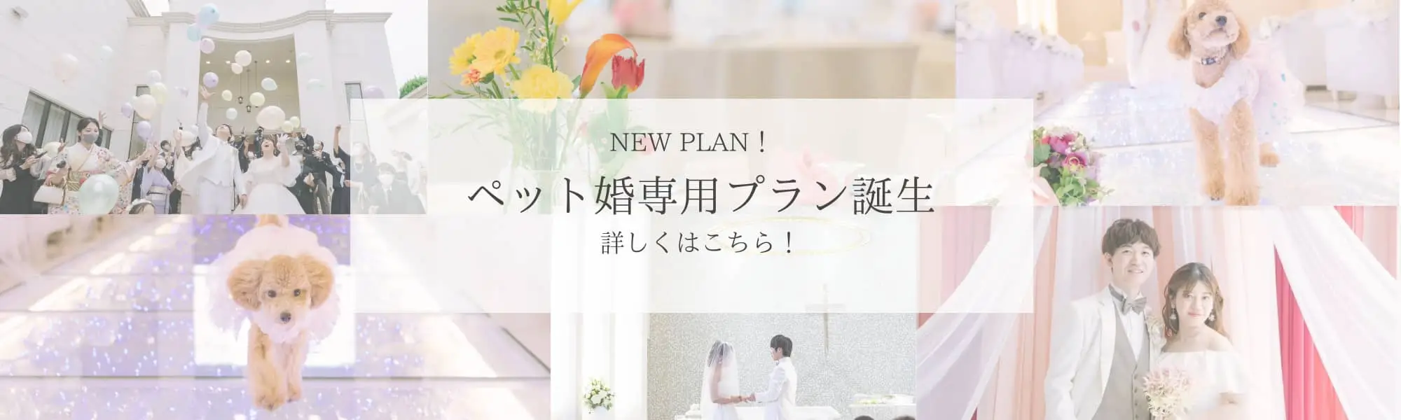 NEW PLAN！ペット婚専用プラン誕生 詳しくはこちら